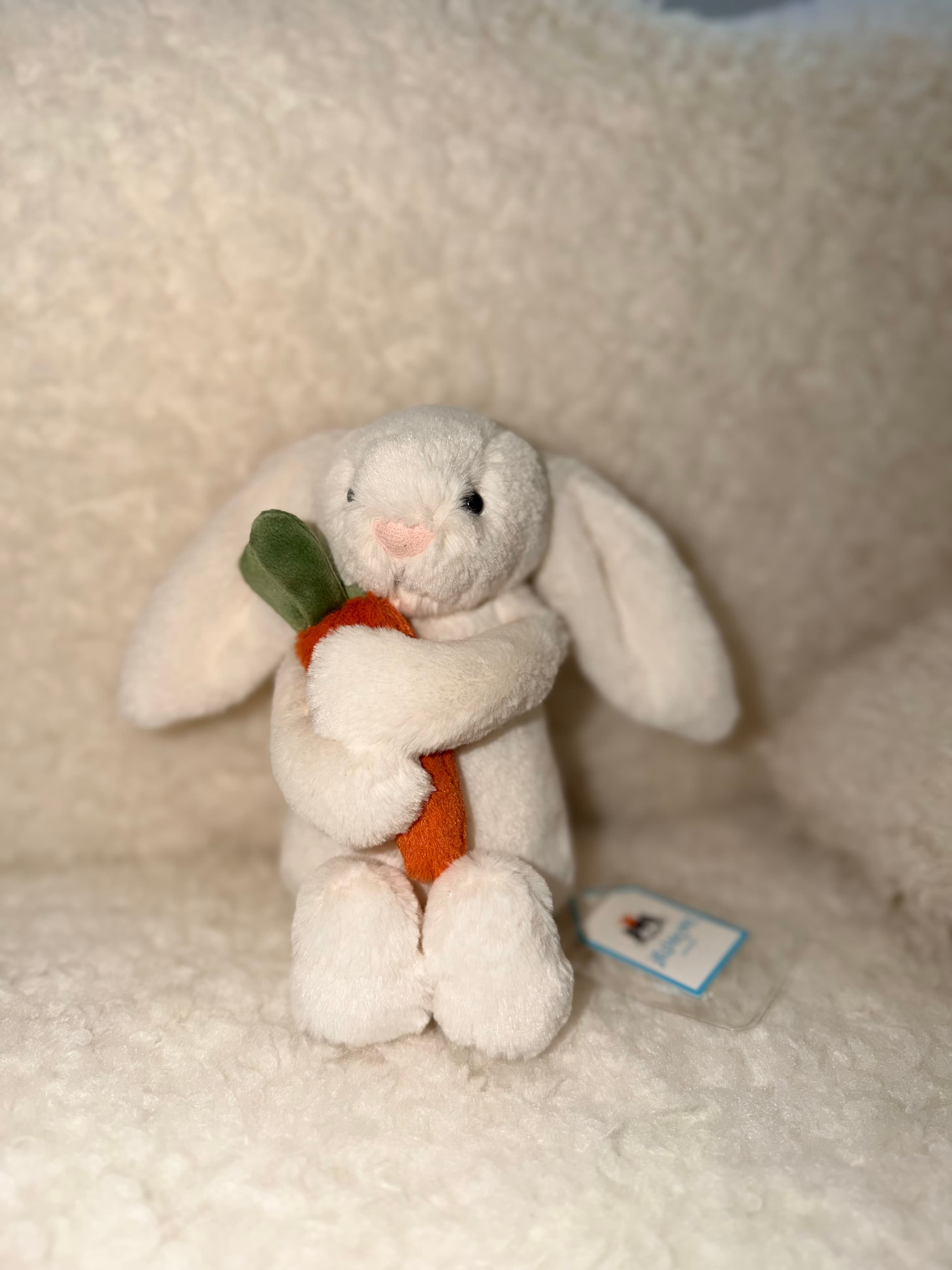 Bunny Holding Carrot