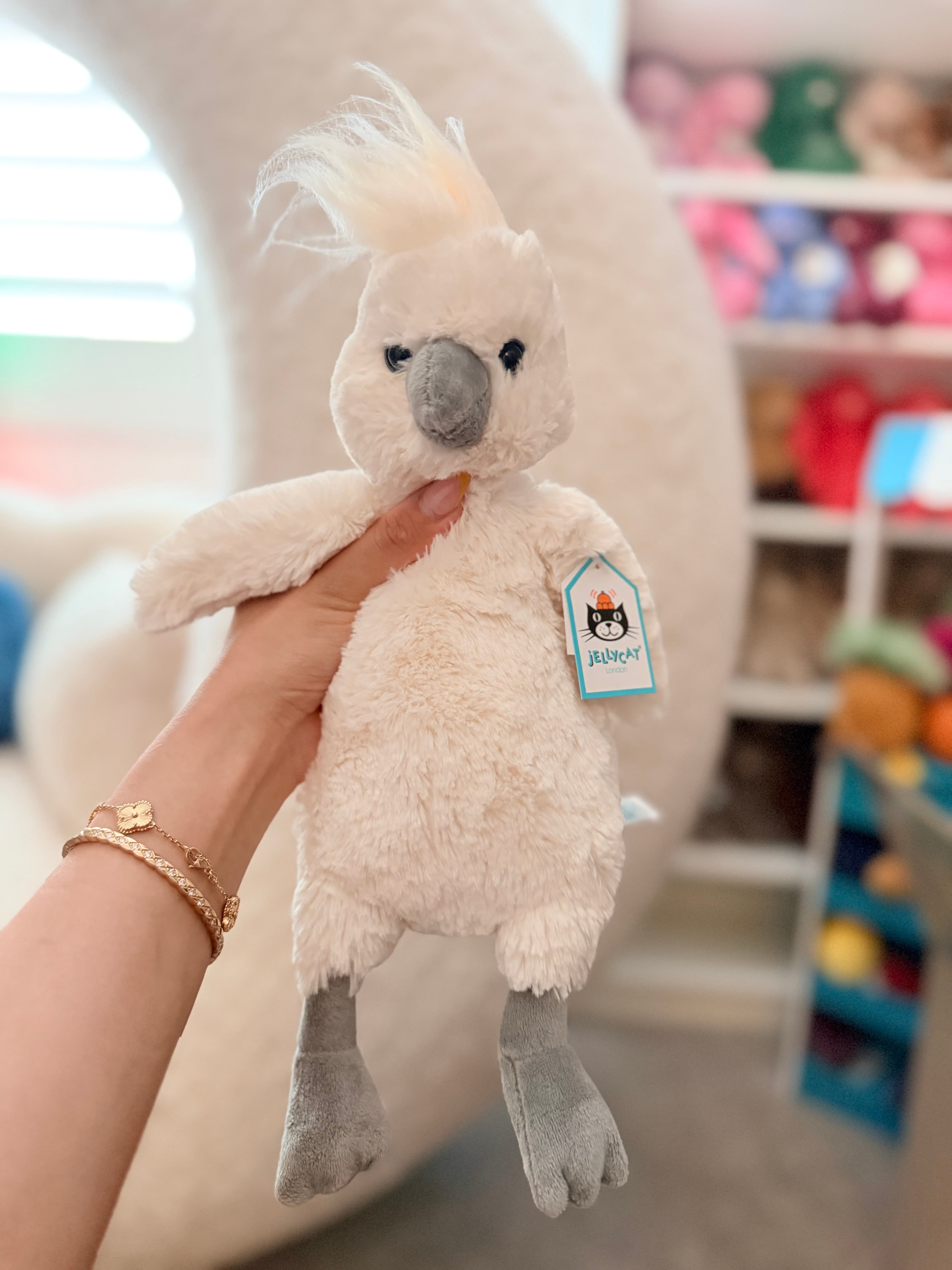 Bashful Cockatoo